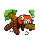 Red Panda "Pandy"（個別スタンプ：10）