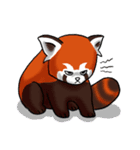 Red Panda "Pandy"（個別スタンプ：13）