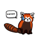 Red Panda "Pandy"（個別スタンプ：18）