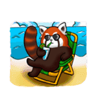 Red Panda "Pandy"（個別スタンプ：40）