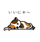 ねこマニア8 ねこの恩返し編（個別スタンプ：9）