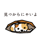 ねこマニア8 ねこの恩返し編（個別スタンプ：12）