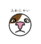ねこマニア8 ねこの恩返し編（個別スタンプ：14）