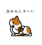 ねこマニア8 ねこの恩返し編（個別スタンプ：16）