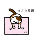ねこマニア8 ねこの恩返し編（個別スタンプ：29）