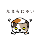 ねこマニア8 ねこの恩返し編（個別スタンプ：31）