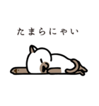 ねこマニア8 ねこの恩返し編（個別スタンプ：34）