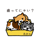 ねこマニア8 ねこの恩返し編（個別スタンプ：35）