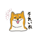 柴犬 はなちゃん（個別スタンプ：3）