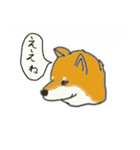 柴犬 はなちゃん（個別スタンプ：6）