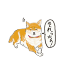 柴犬 はなちゃん（個別スタンプ：12）