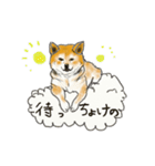 柴犬 はなちゃん（個別スタンプ：21）