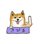 柴犬 はなちゃん（個別スタンプ：40）