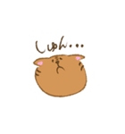 NEKO -しま ＆ しろ-（個別スタンプ：5）