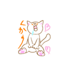 NEKO -しま ＆ しろ-（個別スタンプ：25）