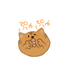 NEKO -しま ＆ しろ-（個別スタンプ：27）