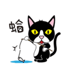 caty cat（個別スタンプ：6）