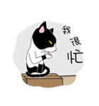 caty cat（個別スタンプ：12）