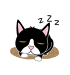 caty cat（個別スタンプ：17）