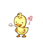 Yaya with duckling（個別スタンプ：37）