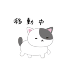 ねこ3すたんぷ（個別スタンプ：36）