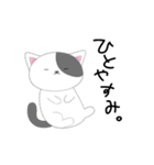 ねこ3すたんぷ（個別スタンプ：37）