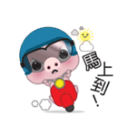 Dohdoh, The Pig (Chinese)（個別スタンプ：19）