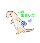 フェレットすたんぷ～お出かけ用～（個別スタンプ：3）