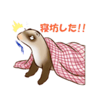 フェレットすたんぷ～お出かけ用～（個別スタンプ：4）