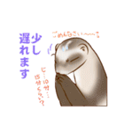 フェレットすたんぷ～お出かけ用～（個別スタンプ：9）