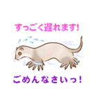 フェレットすたんぷ～お出かけ用～（個別スタンプ：10）
