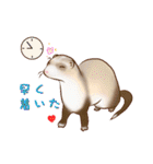 フェレットすたんぷ～お出かけ用～（個別スタンプ：11）