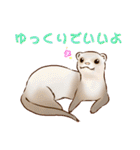 フェレットすたんぷ～お出かけ用～（個別スタンプ：12）