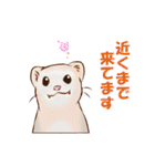 フェレットすたんぷ～お出かけ用～（個別スタンプ：16）
