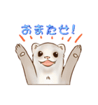 フェレットすたんぷ～お出かけ用～（個別スタンプ：17）