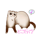 フェレットすたんぷ～お出かけ用～（個別スタンプ：19）