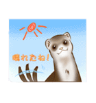 フェレットすたんぷ～お出かけ用～（個別スタンプ：22）