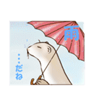 フェレットすたんぷ～お出かけ用～（個別スタンプ：23）
