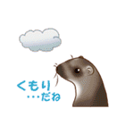フェレットすたんぷ～お出かけ用～（個別スタンプ：24）
