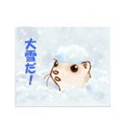 フェレットすたんぷ～お出かけ用～（個別スタンプ：26）
