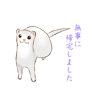 フェレットすたんぷ～お出かけ用～（個別スタンプ：35）