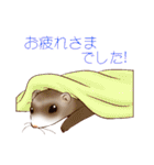 フェレットすたんぷ～お出かけ用～（個別スタンプ：39）