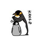 ペンギンが、また。（個別スタンプ：1）