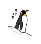 ペンギンが、また。（個別スタンプ：3）