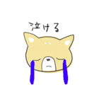 かわいいワンコの日常生活（個別スタンプ：13）
