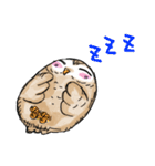 A little cute OWL（個別スタンプ：22）