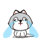 HUKI (Husky dog)（個別スタンプ：9）