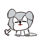 HUKI (Husky dog)（個別スタンプ：16）