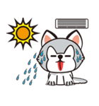 HUKI (Husky dog)（個別スタンプ：23）