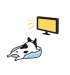 フレンチブルドッグ ぶー（パイド）（個別スタンプ：20）